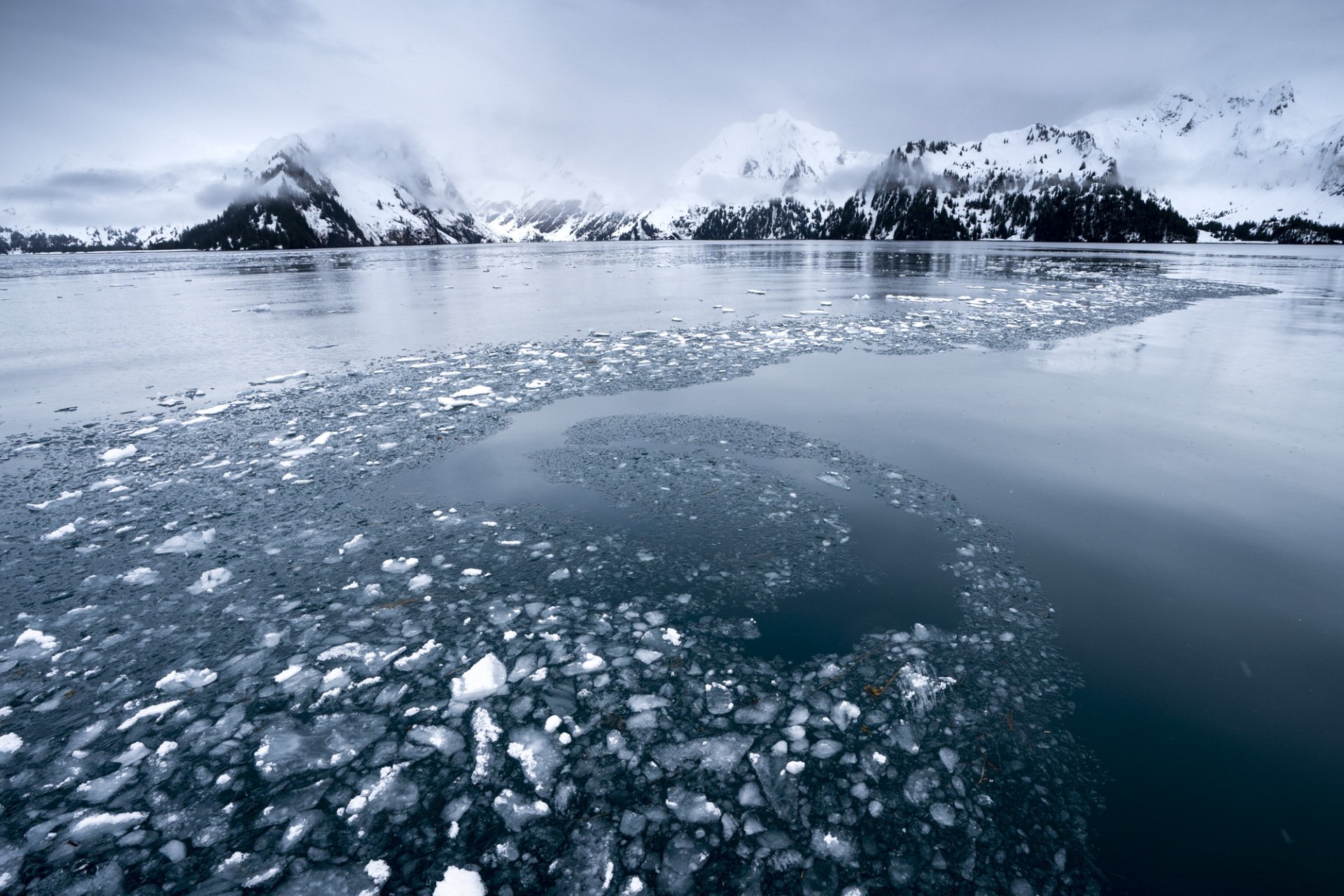 Kenai Fjords National Park :: Sea to Ski, photograph by Craig Wolfrom