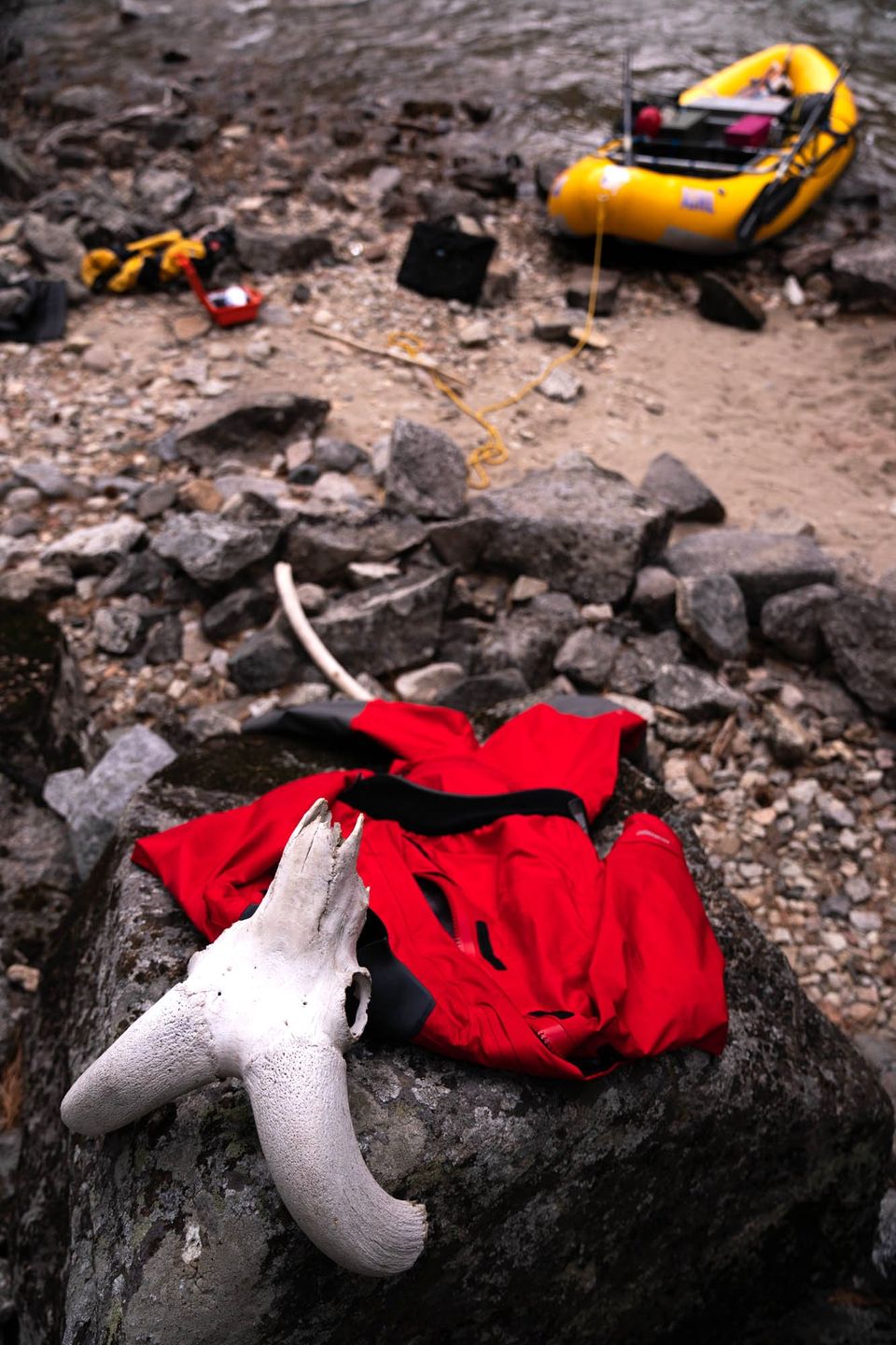 Bighorn Drysuit. A rafter who found a bighorn sheep skull lays out his NRS drysuit to air after a day on the river.