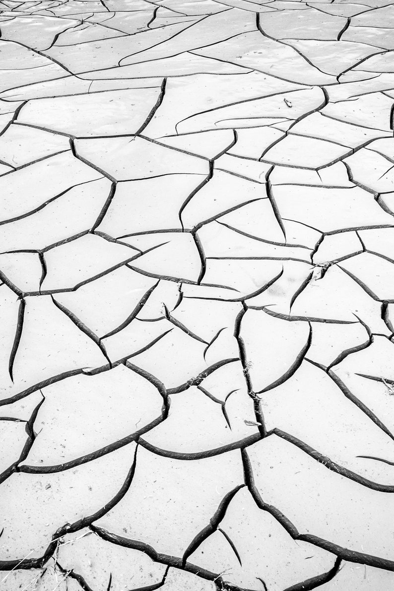 Burnt Creek Detail No. 1. Cracks in a creek bottom after a forest fire. Black and white.