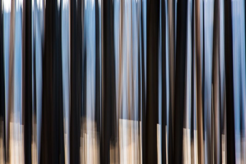 Burnt Forest, Idaho. A slow shutter and a vertical pan abstract the contrast between burnt forest, green grass, and a distant mountain.