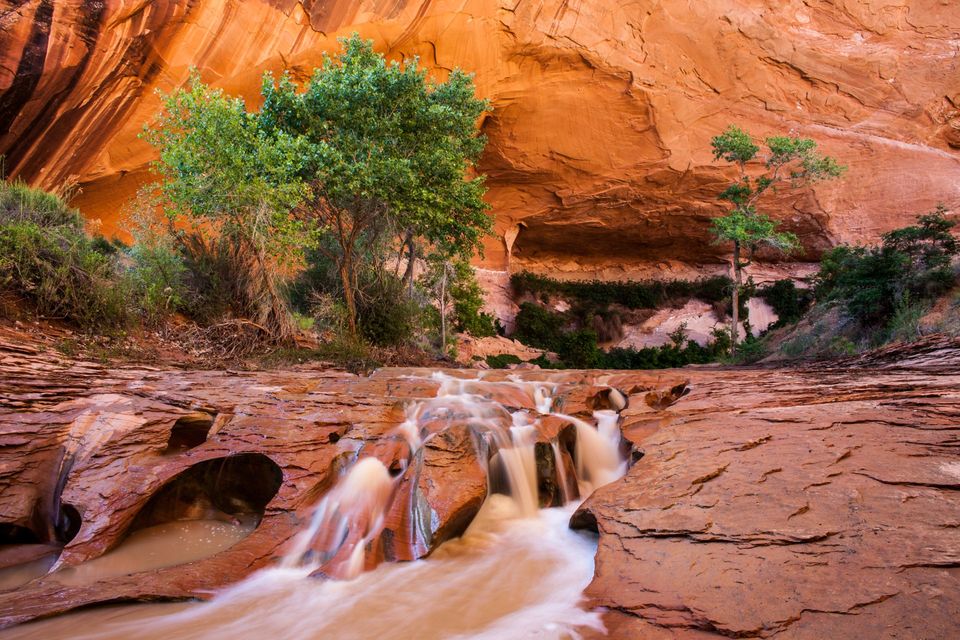 Coyote Gulch, Escalante, Utah. Deep inside Coyote Gulch, the remnants of a flash flood trickle down to the Escalante River.