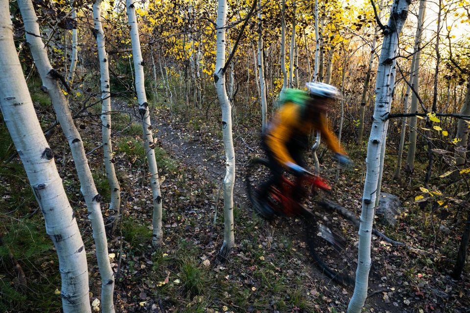 Fall Aspens, Sun Valley. A rider flies through a grove of aspens in full fall color.