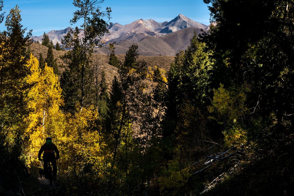 Fall Colors, Sun Valley. When fall descends on Sun Valley, a mountain bike is one of the best ways to enjoy the change of seasons.