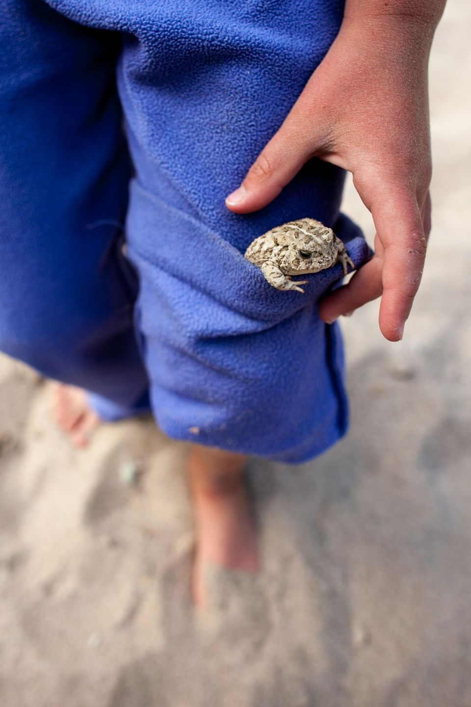 Kids and Toads. Toads come out at night on river trips and kids are keen to catch them. Lucy gives one a ride around camp in her PJs.
