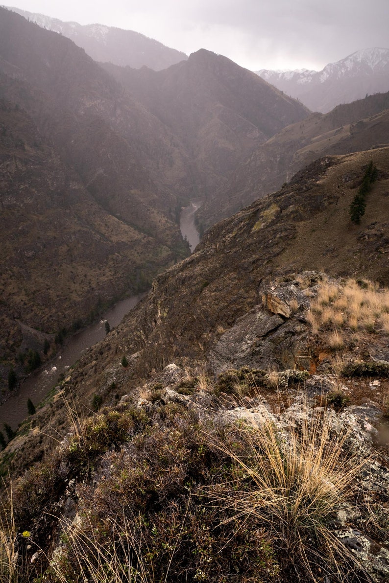 Middle Fork Salmon above Parrot's Place, Idaho. High above the Middle Fork of the Salmon River, where an old-timer named Earl Parrot once lived.