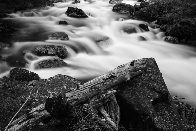 Motion Blur, Sheep Creek, Idaho. Misty mountains and trees on the Salmon River.