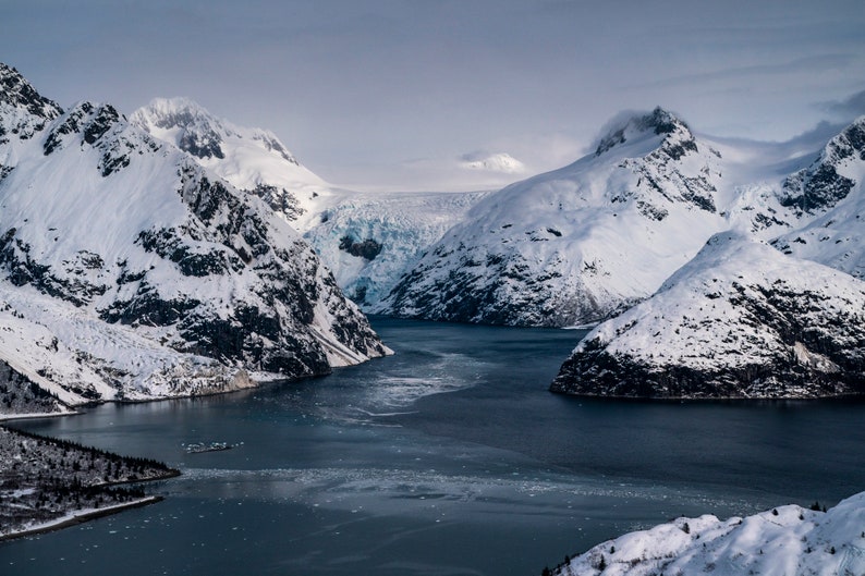 Northwestern Glacier, Harris Bay, Alaska. Looking north at the Northwestern Glacier and the Harding Icefield above, Kenai Fjords National Park.