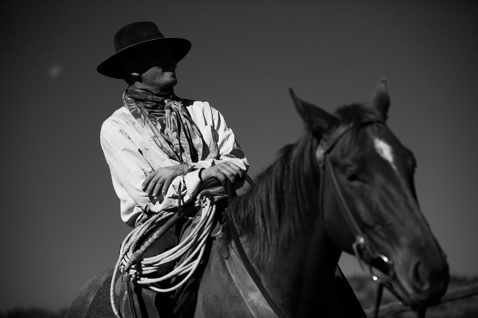 Roundup No. 4, photograph by Craig Wolfrom