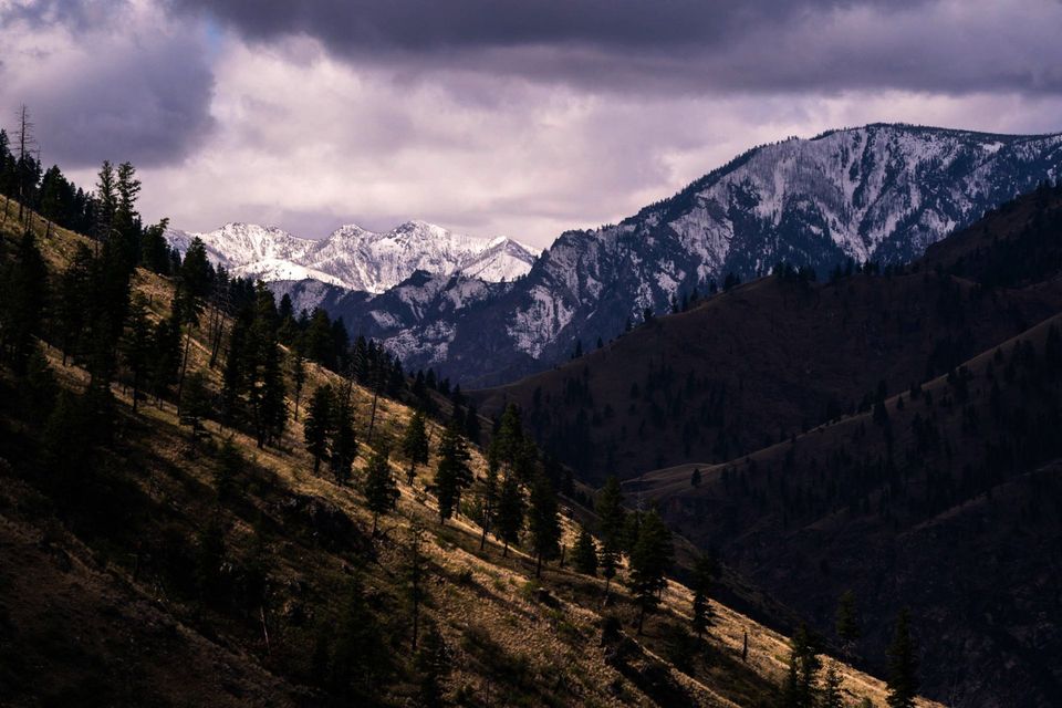 Spring in Idaho. Snow up high, green down low. So it is in April in Idaho.