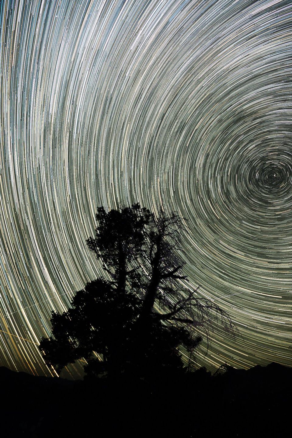 Star Trails, Boulder Mountains, Idaho. A stack of long exposures captures the night sky spinning around the North Star.