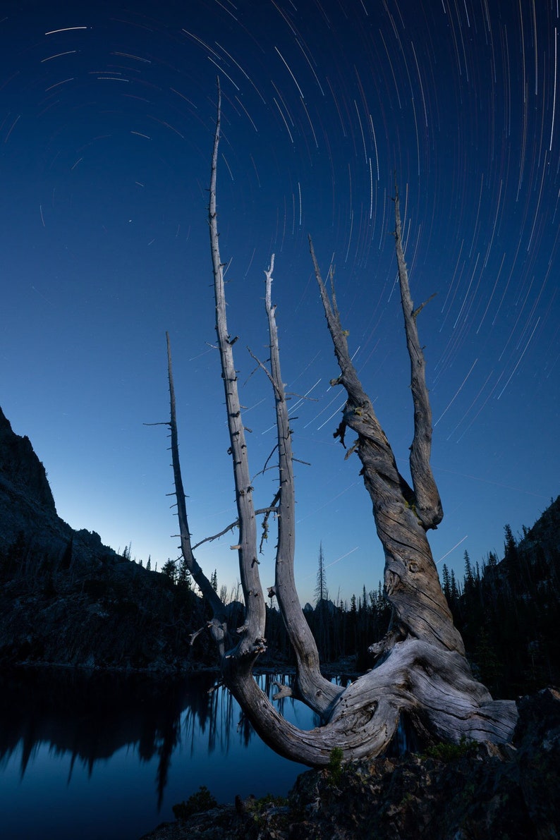 Star Trails over Sawtooth Lake, Idaho. An old snag above Sawtooth Lake as the stars spin around Polaris, Sawtooth Wilderness.
